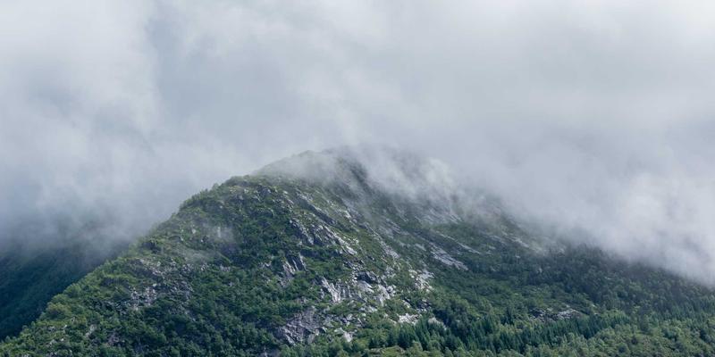 从神坛到窗棂:满族剪纸中萨满图腾的千年演变与生活叙事