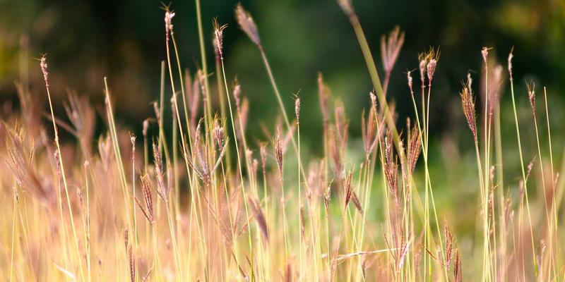 从马背到霓裳：满族骑射文化的千年兴衰与当代新生